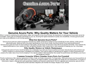 14516-pr7-a00 Acura New Genuine Spring 14516pr7a00 / Oem