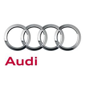Audi 059-109-244-b Genuine Roller