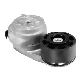 Autpt846 Aulink 4299053 Belt Tensioner Assembly With Pulley For Ism M11 Cummins Cat