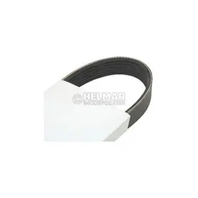 2817653 Clark Serpentine Belt