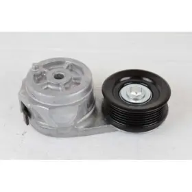 1273232 Dayco Tensioner