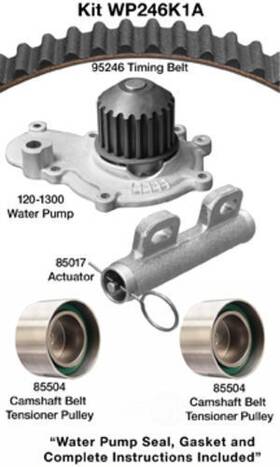 Dayco Wp246k1a Eng Timing Belt Kit With Water Pmp