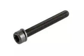 55570291 Gm Genuine Parts Multi-purpose Bolt