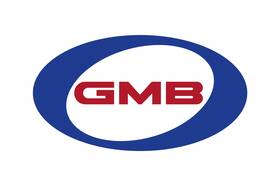 Gmb Gt10061