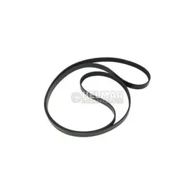 2036995 Hyster Timing Belt
