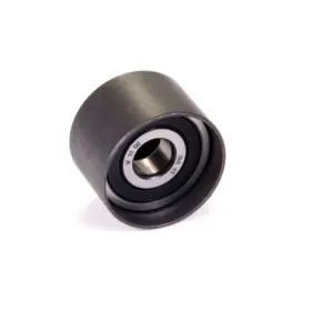 Zp00441 Ina