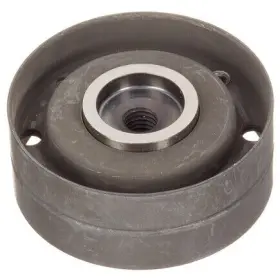 Zp00521 Ina