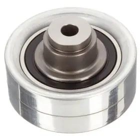 Zp01111 Ina