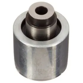 Zp03491 Ina