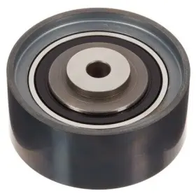 Zp03551 Ina