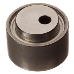 Zp04251 Ina