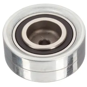 Zp05821 Ina - Driver Side Timing Belt Idler Pulley
