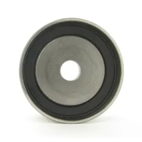 Tbp84201 Skf Engine Timing Belt Idler Pulley