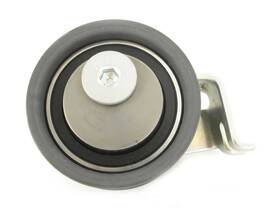 Skf Tbt11116 Tensioner