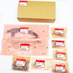 Oem 14401-59B003 Timing Chain Kit New For 16-21 Honda Accord Civic 1.5L L4 Dohc. Price: $107.65.