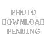 Gates For Subaru 00-08 Outback 97-08 Legacy/impreza EJ25 & EJ20 Timing Belt New. Price: $194.79.