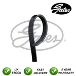 Gates V-ribbed Belts Fits L200 Pt Cruiser Almera #4846 New. Price: $17.98.