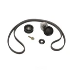 Serpentine Belt Drive Conversion Kit-automotive V-ribbed Goodyear 49204K New. Price: $49.99.