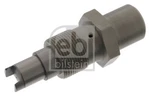 Febi Bilstein 26296 Tensioner, Timing Chain For Bmw Neu. Price: $171.13.