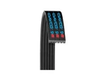 For 2002-2005 Hyundai XG350 Multi Rib Belt Dayco 62633TM New. Price: $33.39.