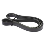 Serpentine Belt For Freightliner Classic Xl FL112 FLD112 FLD120SD FLD132 New. Price: $34.99.